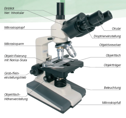 Ristede til stede genopretning Mikroskop Infoseite | Vegaoptics