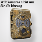 Wildkamera